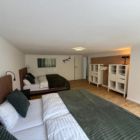 Apartment Zum Hirsch Kirnbach (Wolfach)